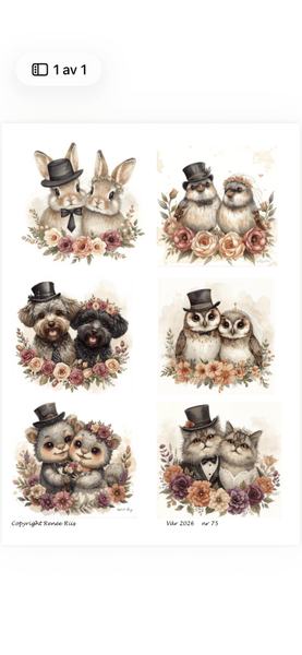 Hovedbilde Klippeark 75