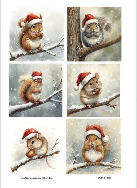 Hovedbilde Klippeark 52