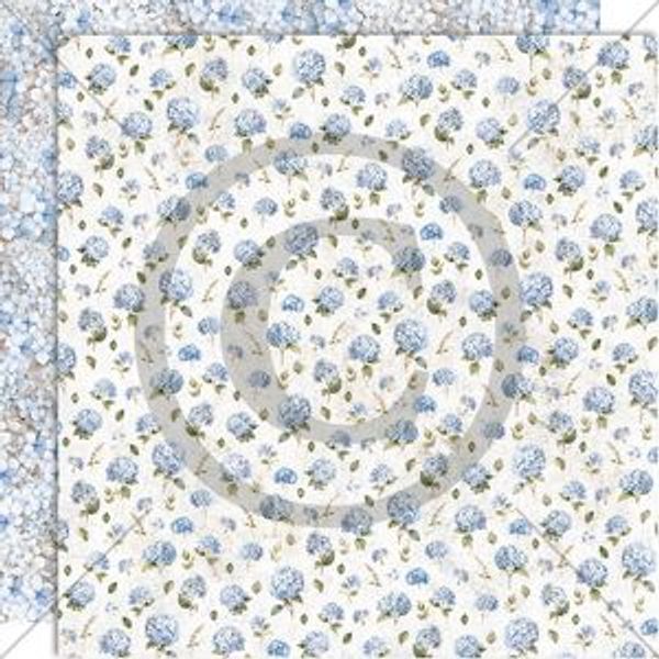 Hovedbilde Hortensia